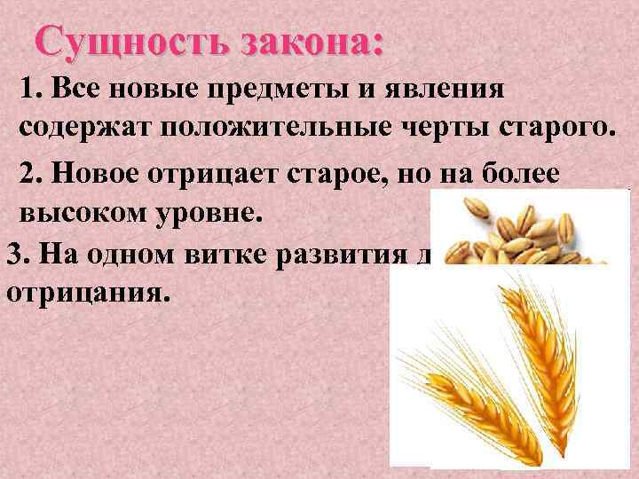 Сущность закона: 1. Все новые предметы и явления содержат положительные черты старого. 2. Новое