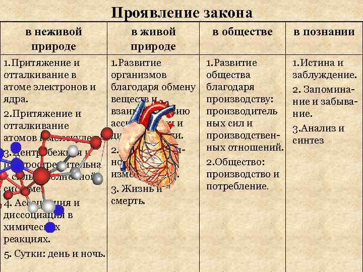 Законы природы и законы общества