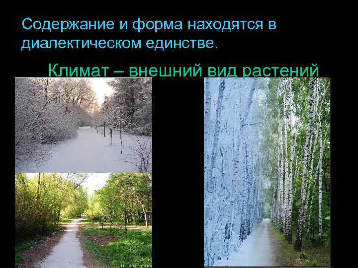 Содержание и форма находятся в диалектическом единстве. Климат – внешний вид растений 