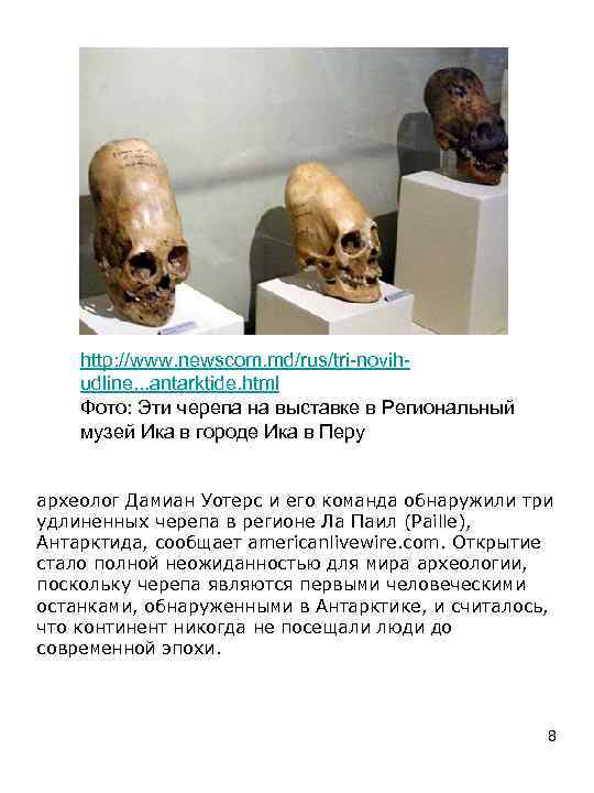 http: //www. newscom. md/rus/tri-novihudline. . . antarktide. html Фото: Эти черепа на выставке в