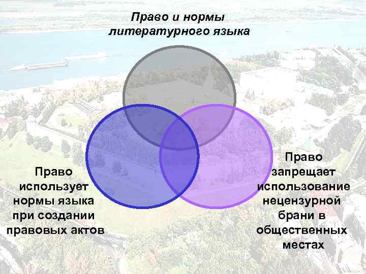 Право и нормы литературного языка Право использует нормы языка при создании правовых актов Право