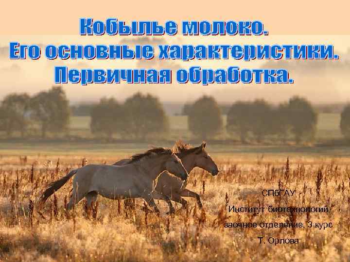 СПб. ГАУ Институт биотехнологий заочное отделение, 3 курс Т. Орлова 