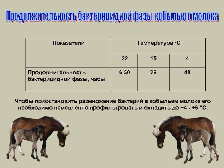 Показатели Температура ºС 22 Продолжительность бактерицидной фазы, часы 15 4 6, 30 28 40