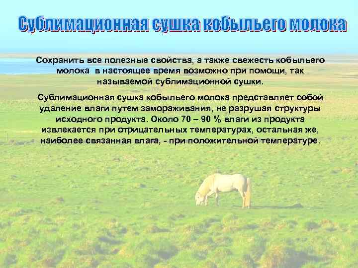 Сохранить все полезные свойства, а также свежесть кобыльего молока в настоящее время возможно при