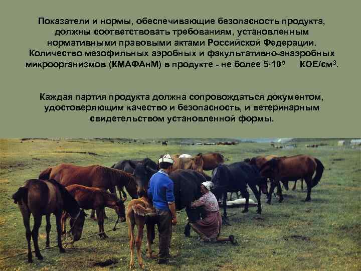 Показатели и нормы, обеспечивающие безопасность продукта, должны соответствовать требованиям, установленным нормативными правовыми актами Российской