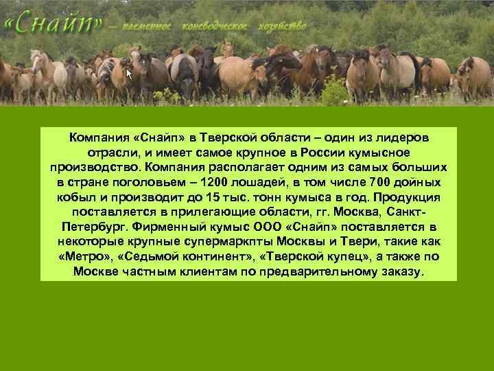 Компания «Снайп» в Тверской области – один из лидеров отрасли, и имеет самое крупное
