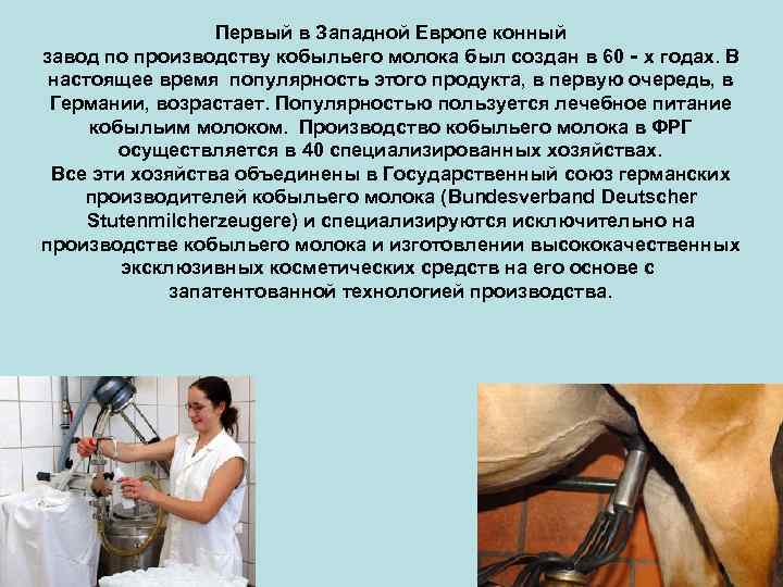 Первый в Западной Европе конный завод по производству кобыльего молока был создан в 60‐х