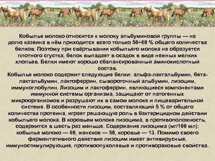 Кобылье молоко относится к молоку альбуминовой группы — на долю казеина в нём приходится