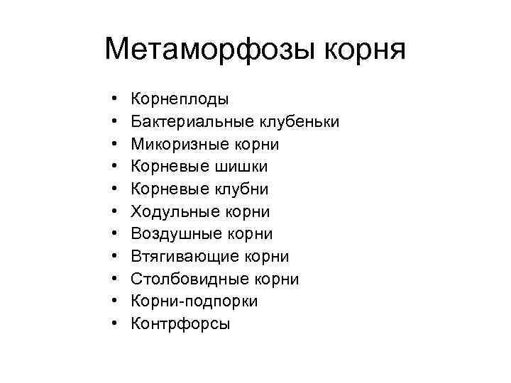 Метаморфозы корня • • • Корнеплоды Бактериальные клубеньки Микоризные корни Корневые шишки Корневые клубни