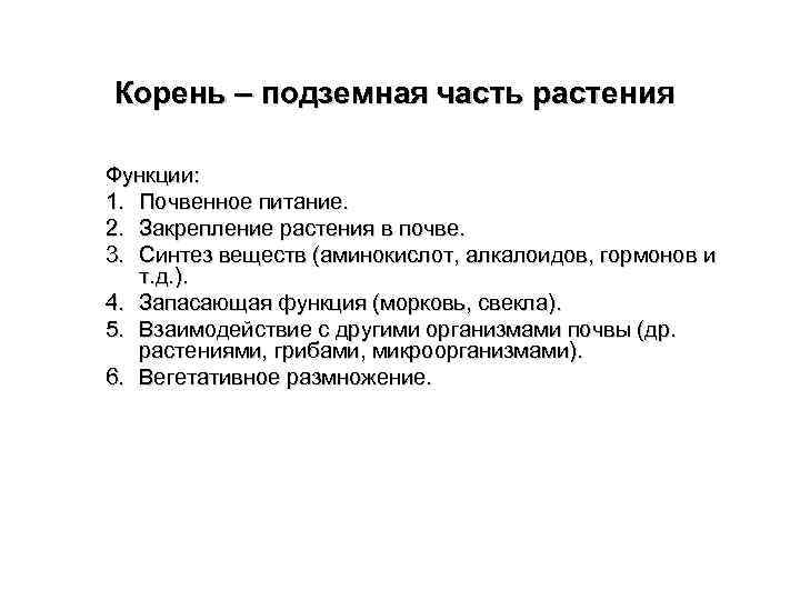 Корень – подземная часть растения Функции: 1. Почвенное питание. 2. Закрепление растения в почве.