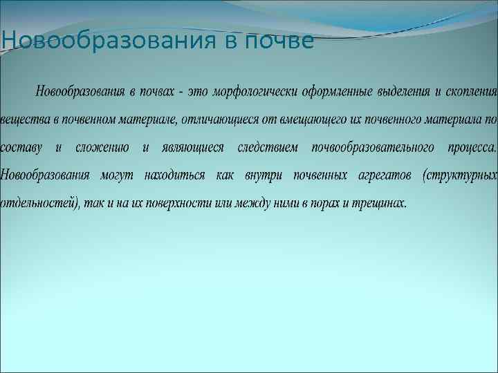 Новообразования в почве 