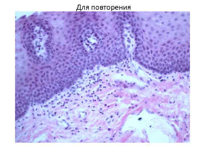 Для повторения 