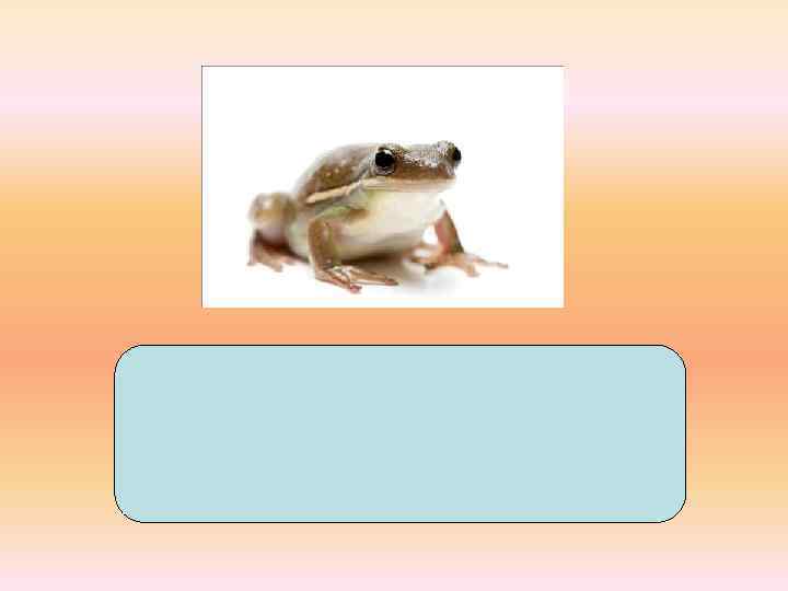 ля-гу ш-ка л_гушка 