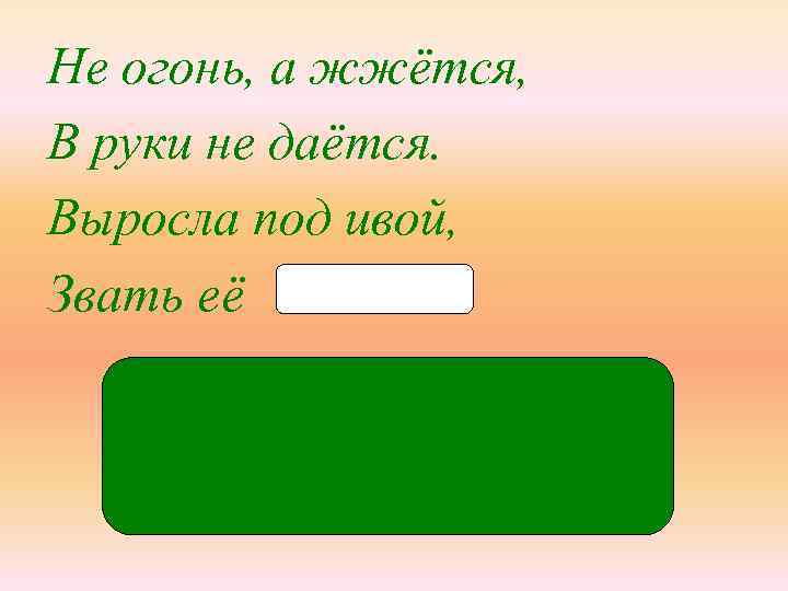 Не огонь, а жжётся, В руки не даётся. Выросла под ивой, Звать её кра-пи