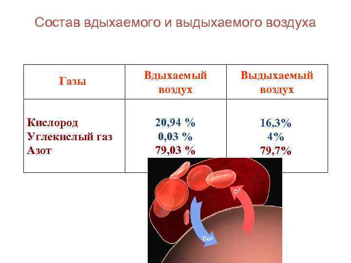 Как изменяется состав вдыхаемого и выдыхаемого воздуха