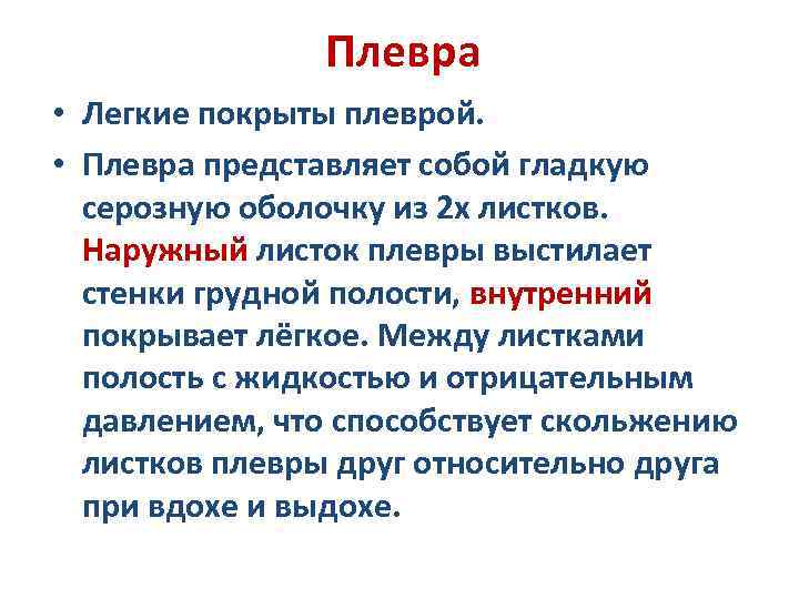  Плевра • Легкие покрыты плеврой. • Плевра представляет собой гладкую серозную оболочку из