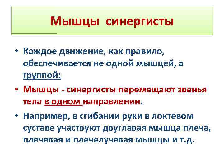 Мышцы синергисты • Каждое движение, как правило, обеспечивается не одной мышцей, а группой: •