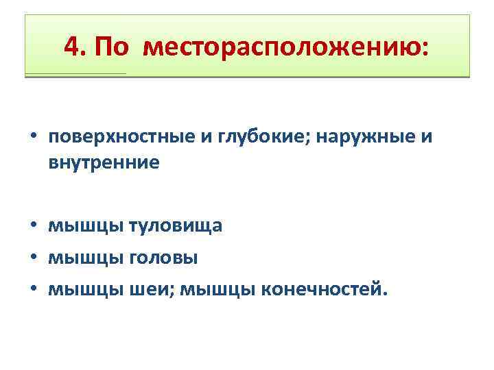 4. По месторасположению: • поверхностные и глубокие; наружные и внутренние • мышцы туловища •