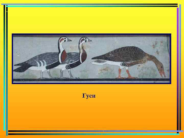Гуси 