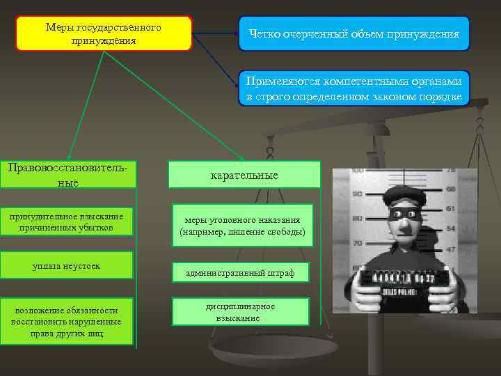 Меры государственного принуждения Четко очерченный объем принуждения Применяются компетентными органами в строго определенном законом