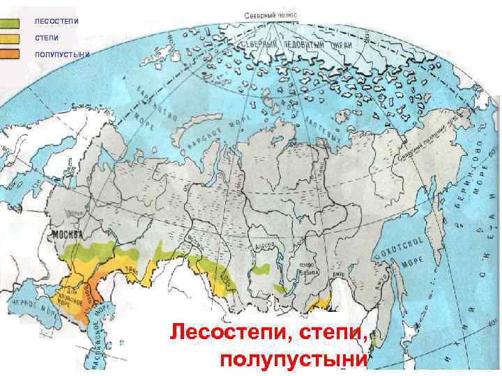 Покажи карту степей. Географическое положение лесостепи в России на карте. Степи и лесостепи на карте.