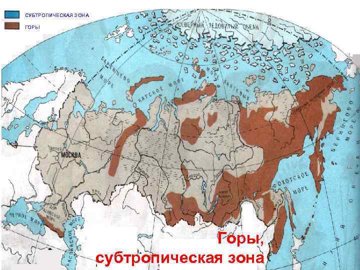 СУБТРОПИЧЕСКАЯ ЗОНА ГОРЫ Горы, субтропическая зона 