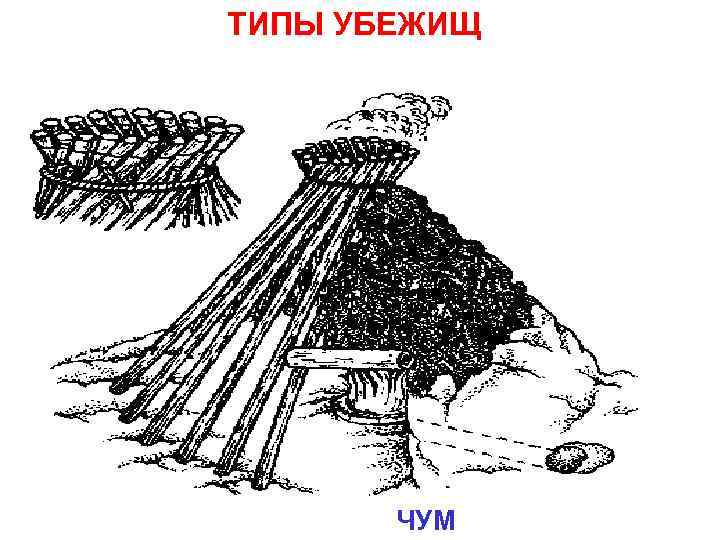 ТИПЫ УБЕЖИЩ ЧУМ 