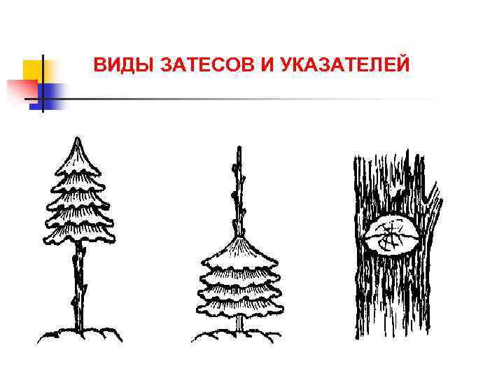 ВИДЫ ЗАТЕСОВ И УКАЗАТЕЛЕЙ 
