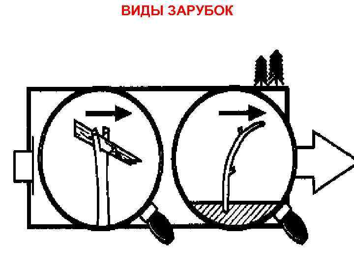 ВИДЫ ЗАРУБОК 