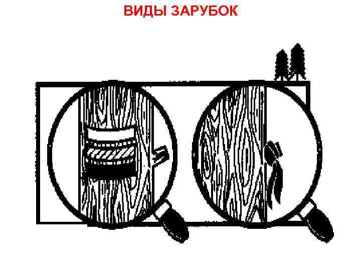 ВИДЫ ЗАРУБОК 