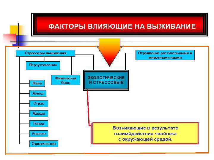 Факторы воздействия. Факторы влияющие на выживание. Стрессоры выживания. Перечислите стрессоры выживания.