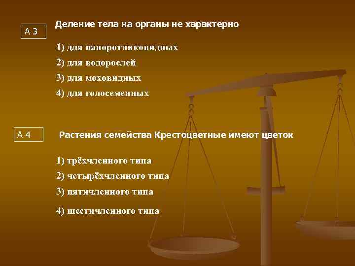 А 3 Деление тела на органы не характерно 1) для папоротниковидных 2) для водорослей