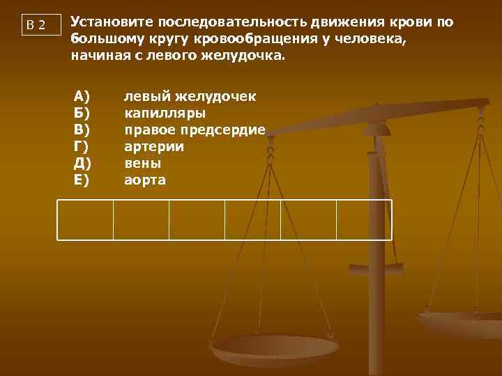 В 2 Установите последовательность движения крови по большому кругу кровообращения у человека, начиная с