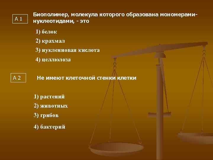 А 1 Биополимер, молекула которого образована мономераминуклеотидами, - это 1) белок 2) крахмал 3)