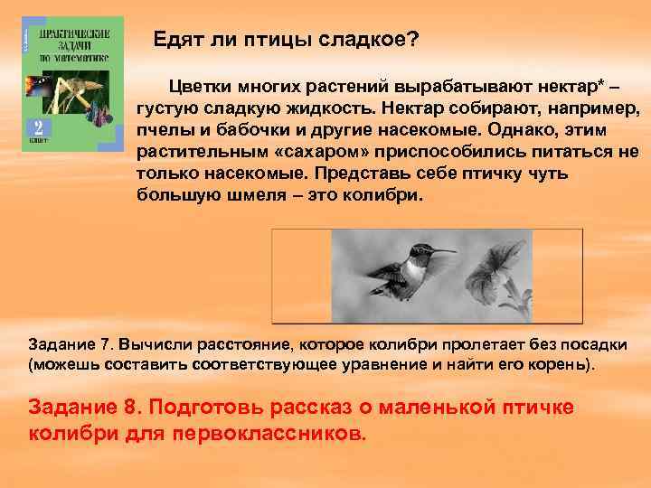 Едят ли птицы сладкое? Цветки многих растений вырабатывают нектар* – густую сладкую жидкость. Нектар