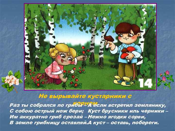 Не вырывайте кустарники с корнем Раз ты собрался по грибы – А если встретил
