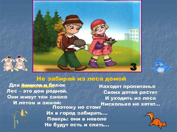 Не забирай из леса домой Для животных ёжиков и белок Находят пропитанье Лес –