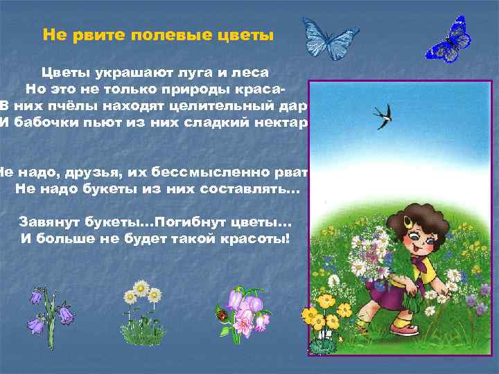 Не рвите полевые цветы Цветы украшают луга и леса Но это не только природы
