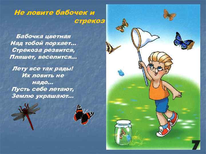 Счастье птица упустишь и не поймаешь. Дети ловят бабочек и стрекоз в лесу. Пошел на Хутор бабочек ловить фразеологизм. Не ловите бабочек и стрекоз картинки. Иди лови бабочек.