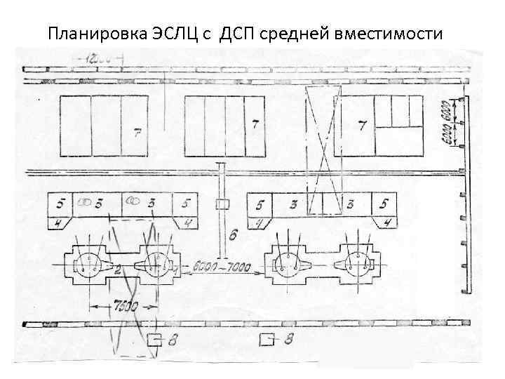Планировка ЭСЛЦ с ДСП средней вместимости 