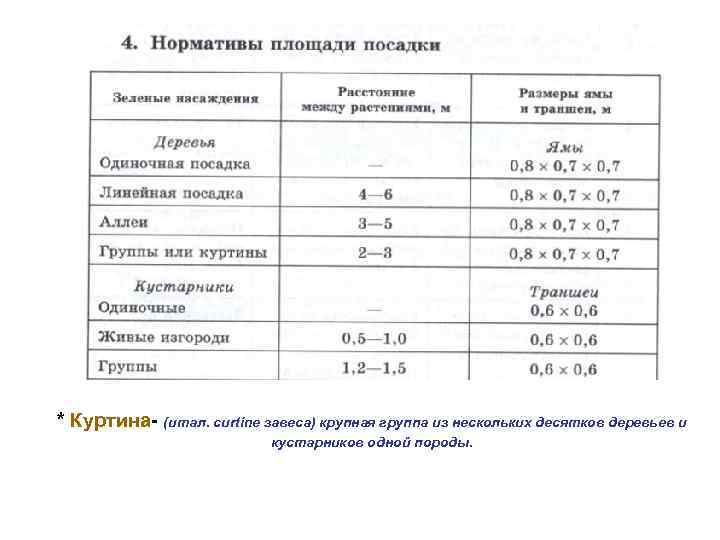 * Куртина- (итал. curtine завеса) крупная группа из нескольких десятков деревьев и кустарников одной