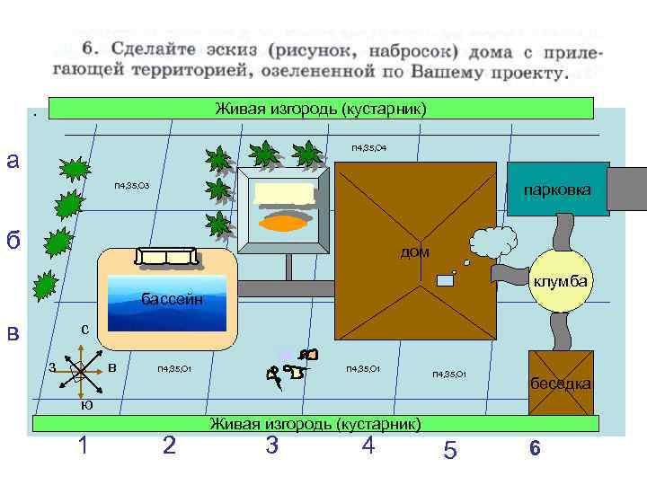  • Живая изгородь (кустарник) П 4, З 5, О 1 П 4, З