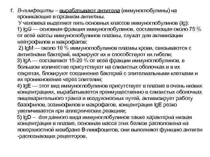 1. В-лимфоциты – вырабатывают антитела (иммуноглобулины) на проникающие в организм антигены. У человека выделяют