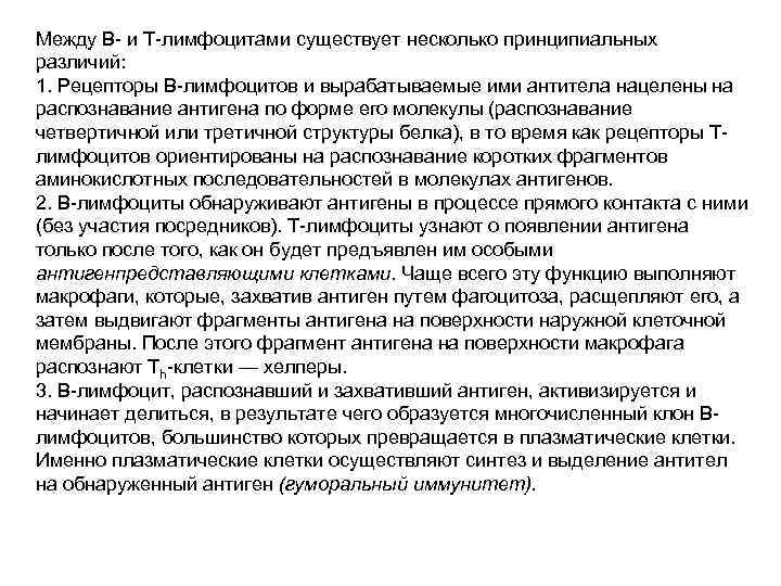 Между В- и Т-лимфоцитами существует несколько принципиальных различий: 1. Рецепторы В-лимфоцитов и вырабатываемые ими