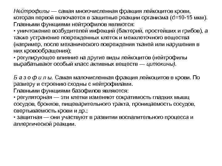 Нейтрофилы — самая многочисленная фракция лейкоцитов крови, которая первой включается в защитные реакции организма
