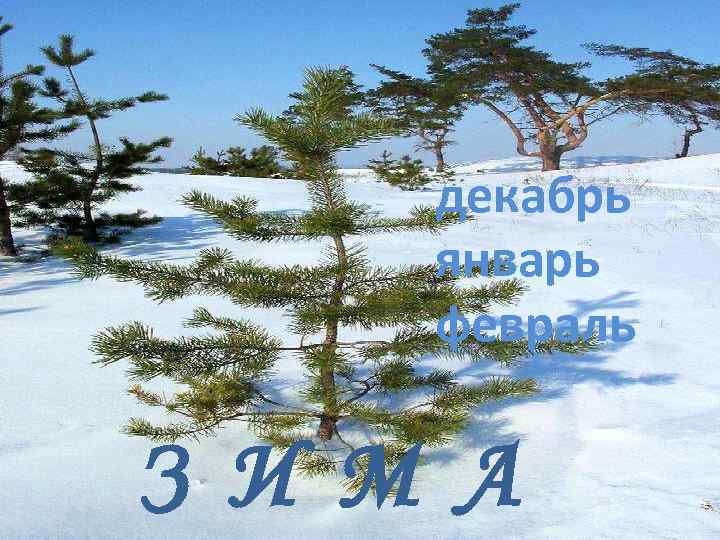 декабрь январь февраль З И М А 