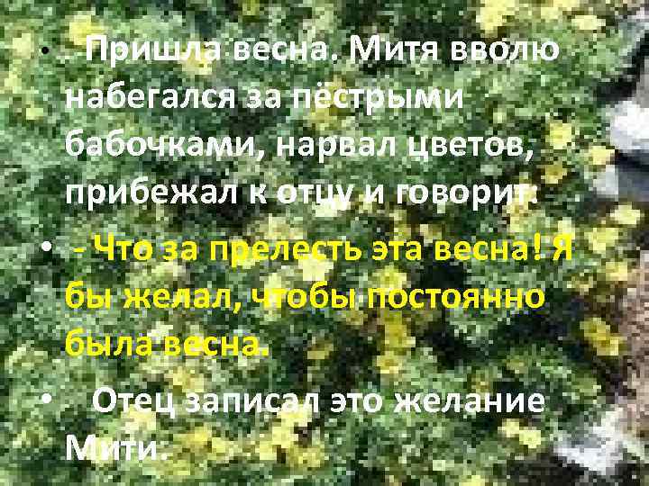 Пришла весна. Митя вволю набегался за пёстрыми бабочками, нарвал цветов, прибежал к отцу и