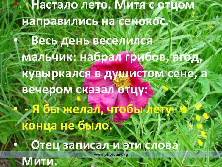  • Настало лето. Митя с отцом направились на сенокос. • Весь день веселился