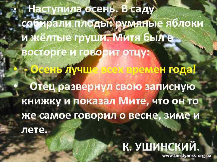Наступила осень. В саду собирали плоды: румяные яблоки и жёлтые груши. Митя был в