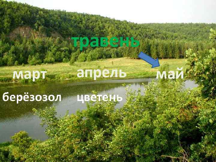 травень март апрель берёзозол цветень май 